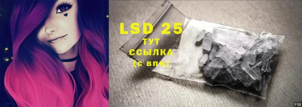 хмурый Вяземский