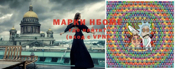 хмурый Вяземский