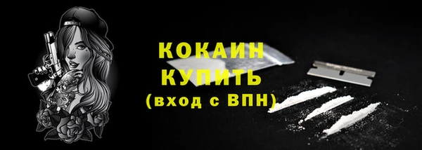 хмурый Вяземский