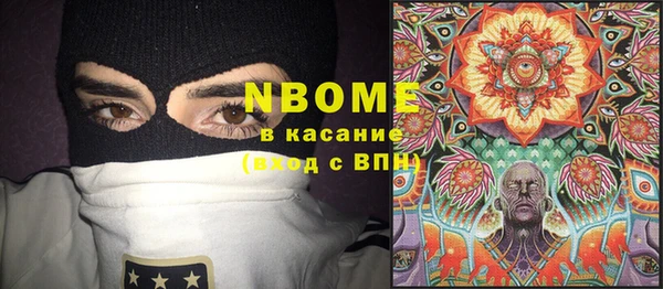хмурый Вяземский